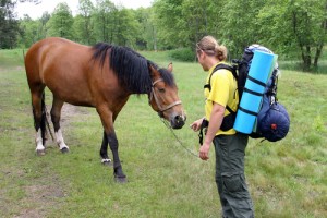 backpacking horse riding nature_319449740